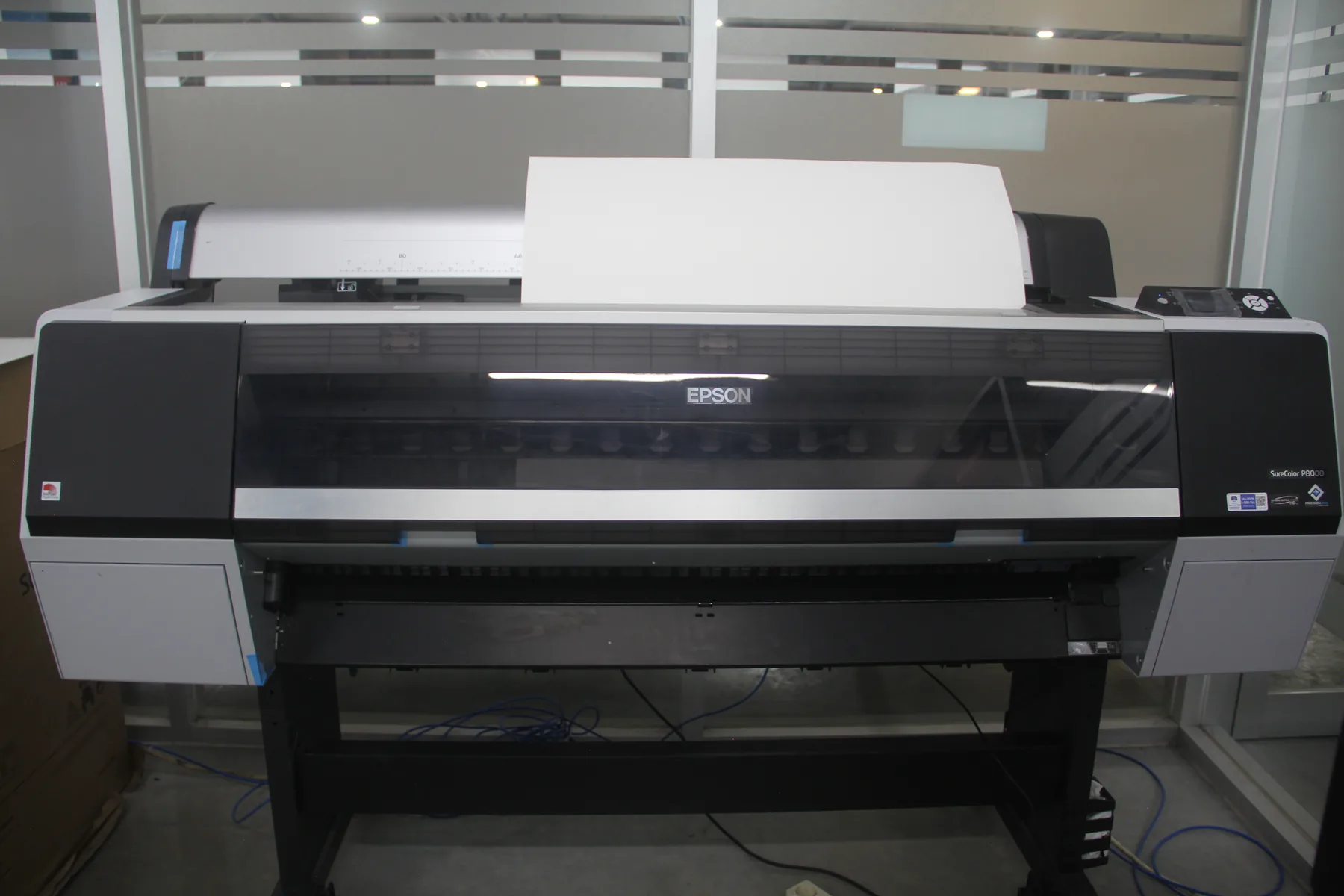 Epson SureColor P8000
